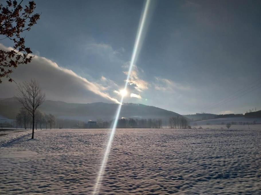 Haus Julia Direkt Am Hennesee Mitten Im Sauerland Meschede Extérieur photo