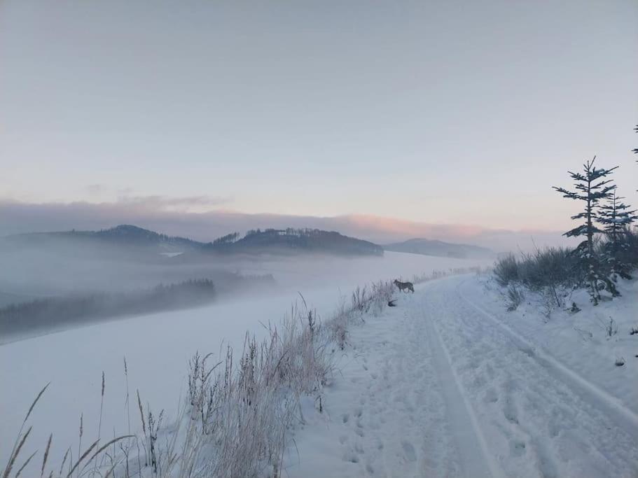 Haus Julia Direkt Am Hennesee Mitten Im Sauerland Meschede Extérieur photo
