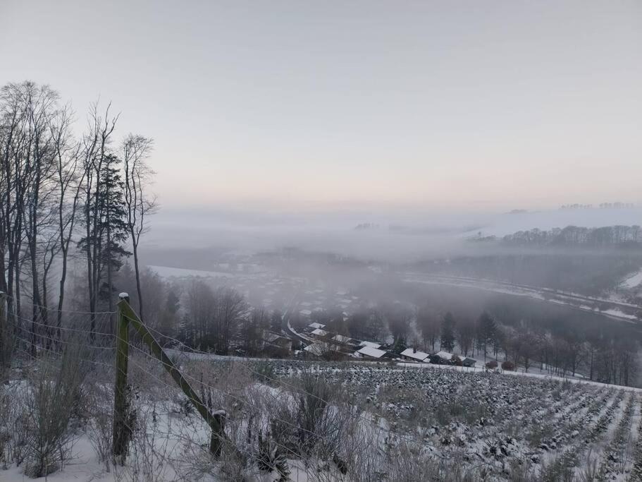 Haus Julia Direkt Am Hennesee Mitten Im Sauerland Meschede Extérieur photo